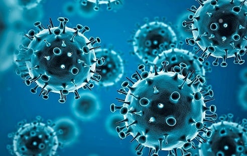 992X312-PAG-coronavirus-2 SARS-CoV-2
