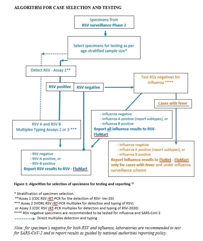 Algorithm_case_selection_testing_RSV Algorithm_case_selection_testing_RSV