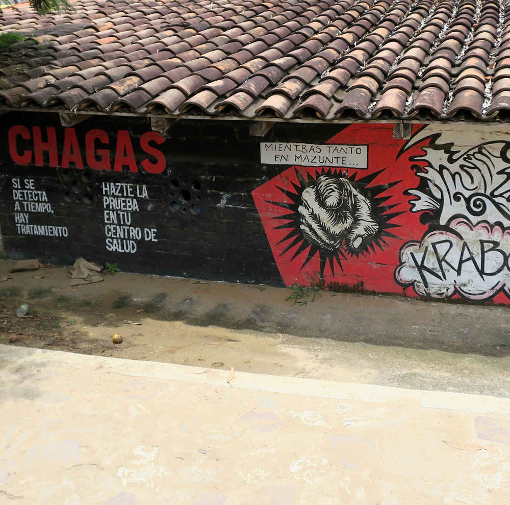Daniel-Lobo-wall-with-Chagas-Disease-painting2 A wall with a Chagas Disease painting.