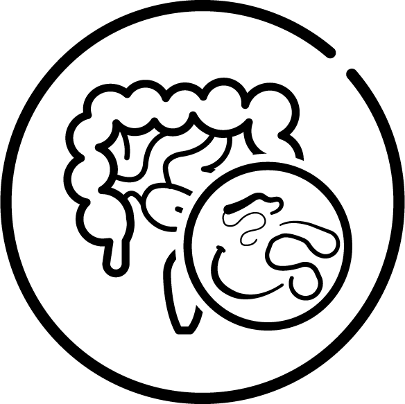 Soi