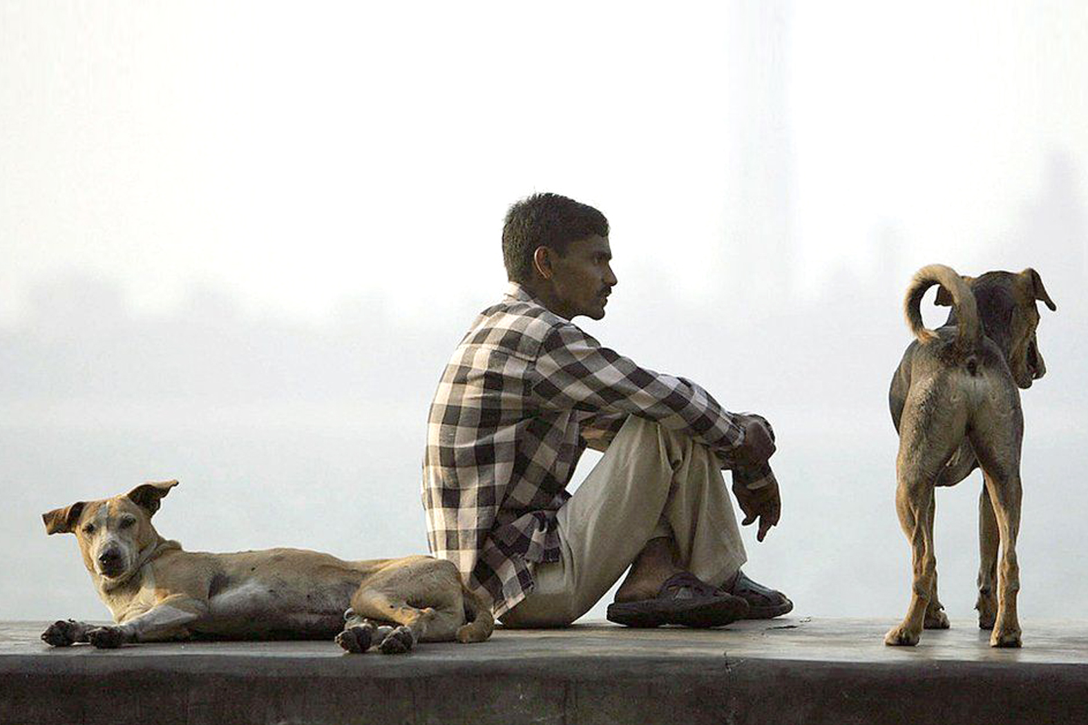 Adopt-One-Health-Stop-Rabies-AFP Adopt One Health, Stop Rabies