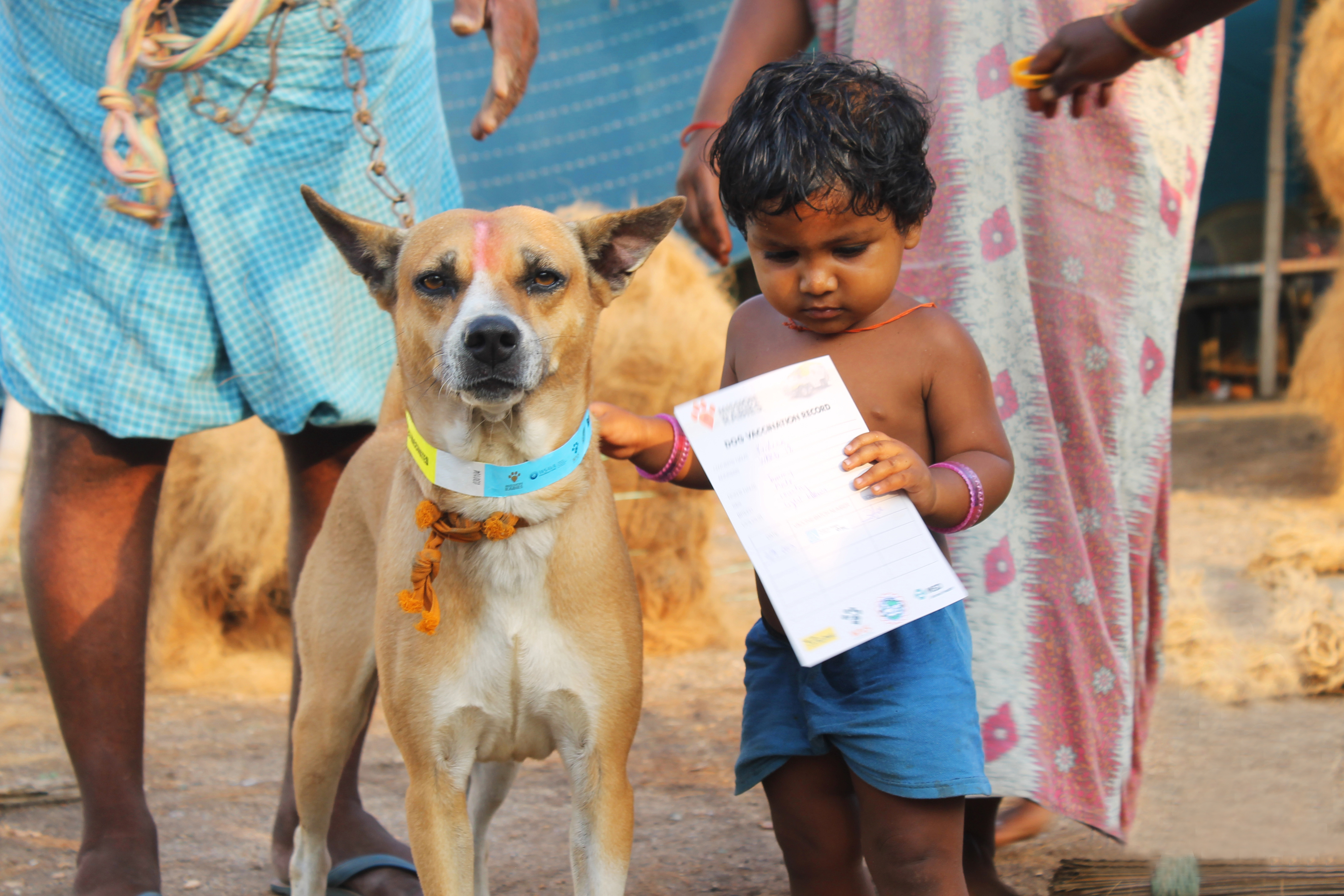 Mission-Rabies-Rabies-vaccine-certificate Mission-Rabies-Rabies-vaccine-certificate