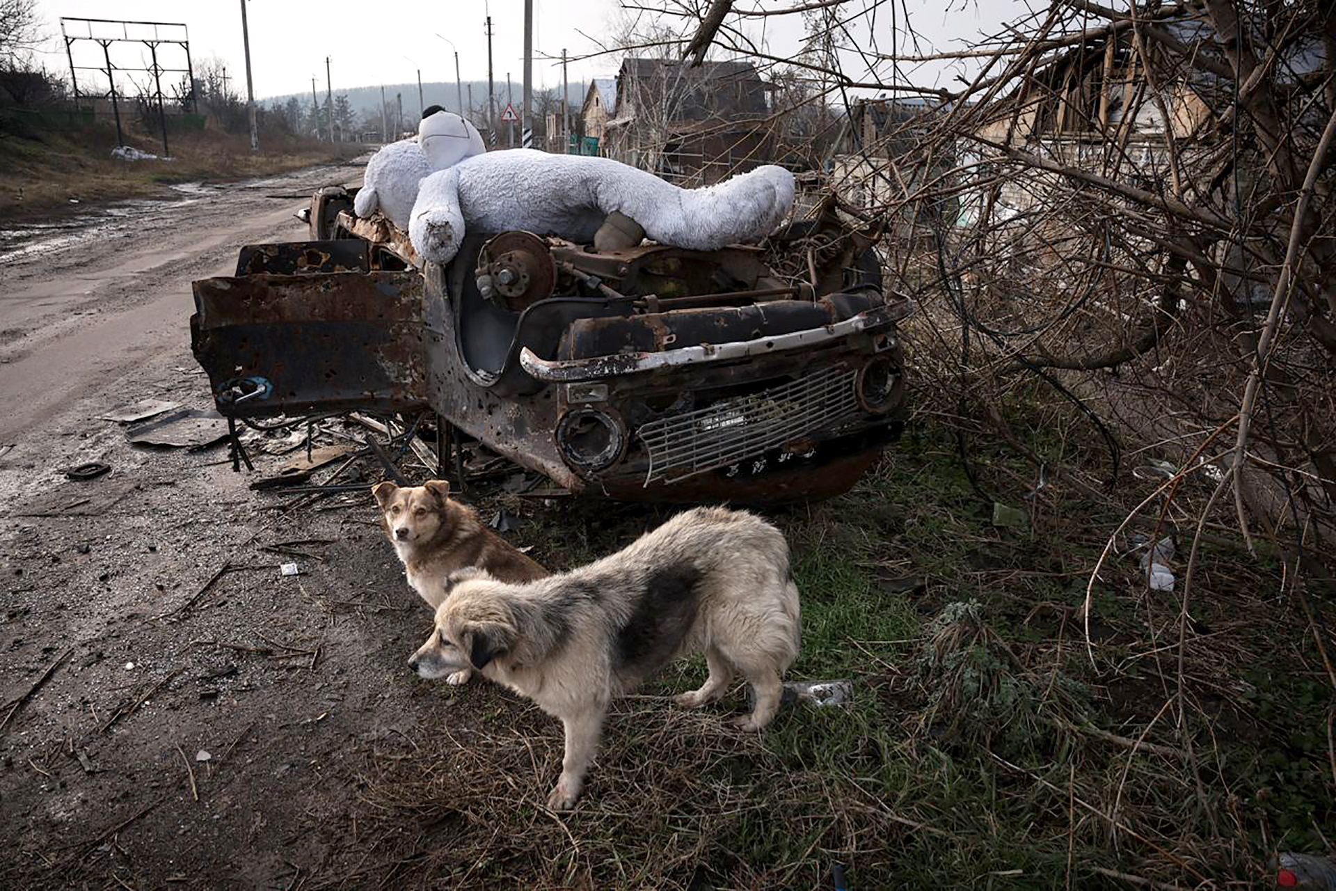 Rabies-ukraine-journey-from-crisis-to-control12-Abela-Ridder-B Eliminating rabies: Ukraine’s journey from crisis to control