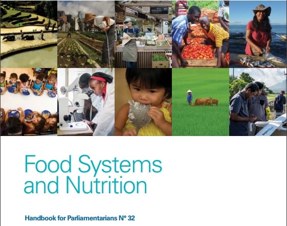 Food-systems-and-nutrition-pubcov