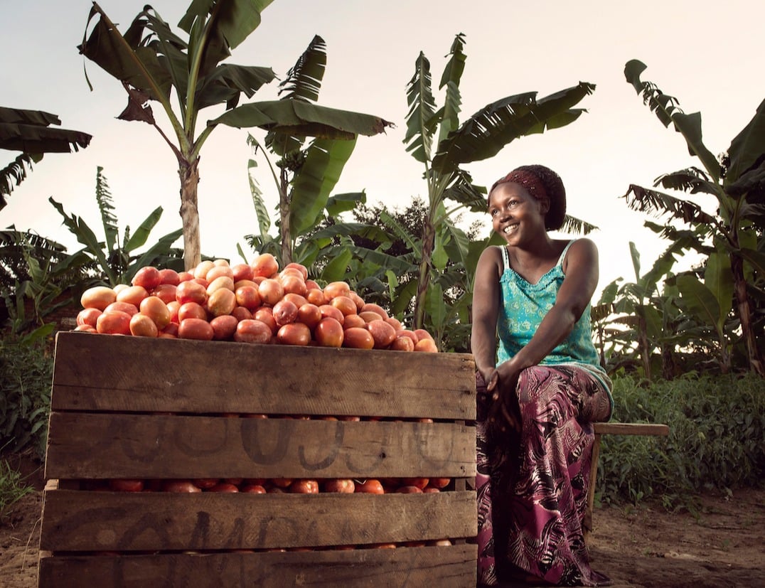 Olivia_surveys_the_fruits_of_her_labor