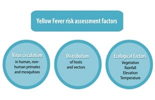 yellow fever chart yellow fever chart