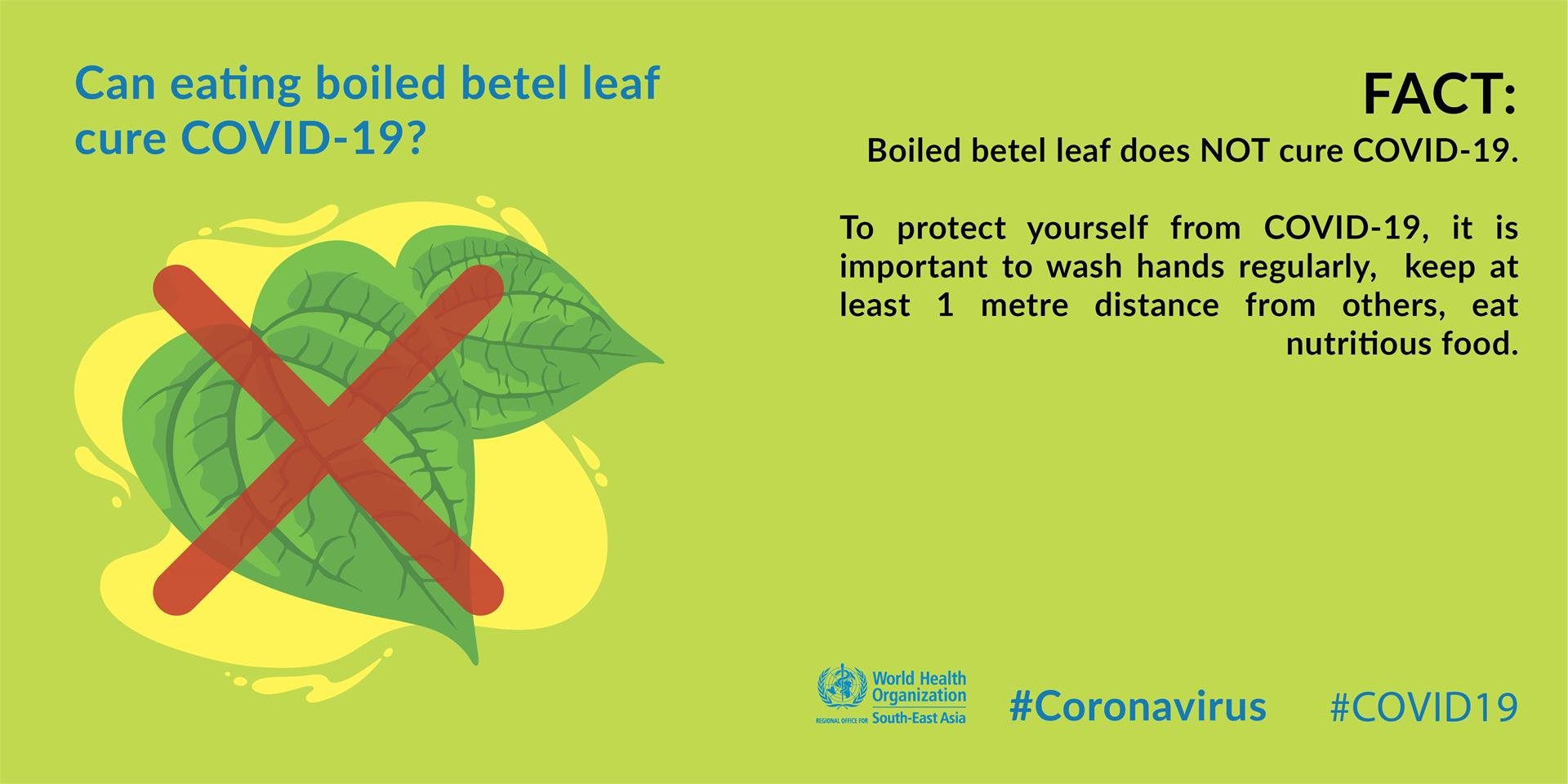 Covid19 Fact or Fiction - Betel Leaf Betel Leaf myth