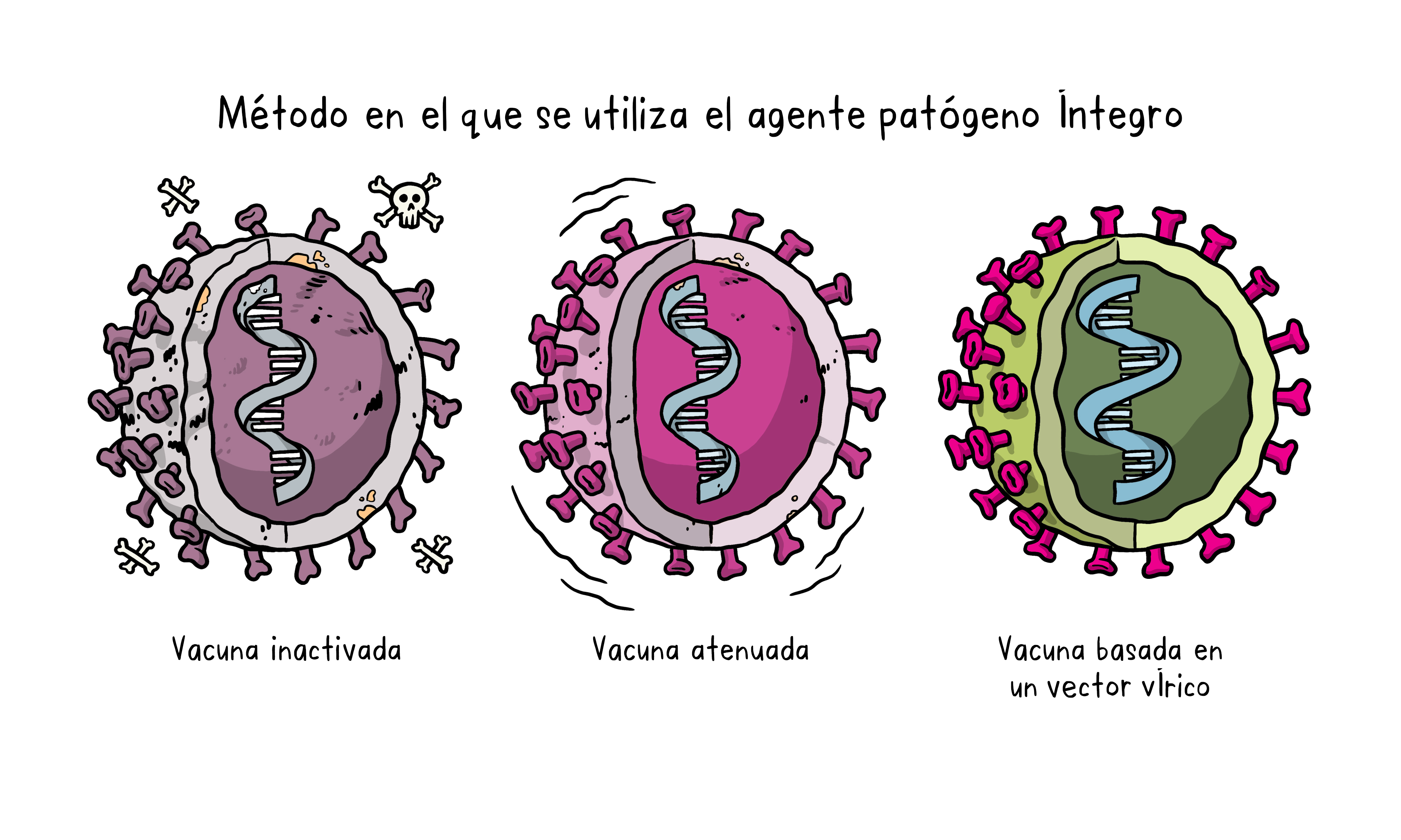 Vaccines Topics Four images working 02 Vaccines Topics Four images working 02