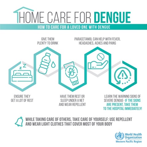 Home care for dengue Infographic of text