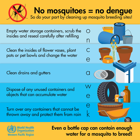No mosquitos no dengue Infographic visualising the recommended advice.
